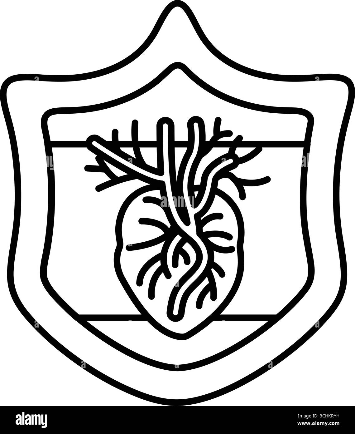 Un dessin noir et blanc d'un coeur avec des veines. Le cœur est entouré d'un bouclier Illustration de Vecteur