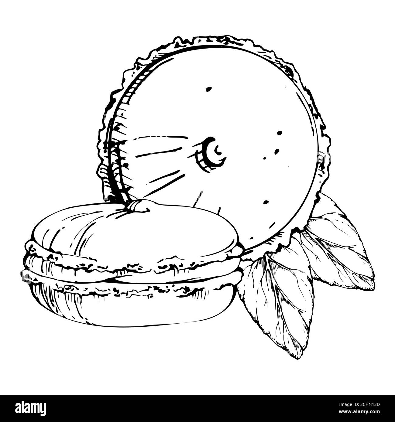 Feuilles de menthe fraîche avec macarons français, garniture à base de plantes pour tartes whoopie fourrées de mousse. Illustration isolée dessinée à la main dans l'encre vectorielle. Paquet dessert Illustration de Vecteur
