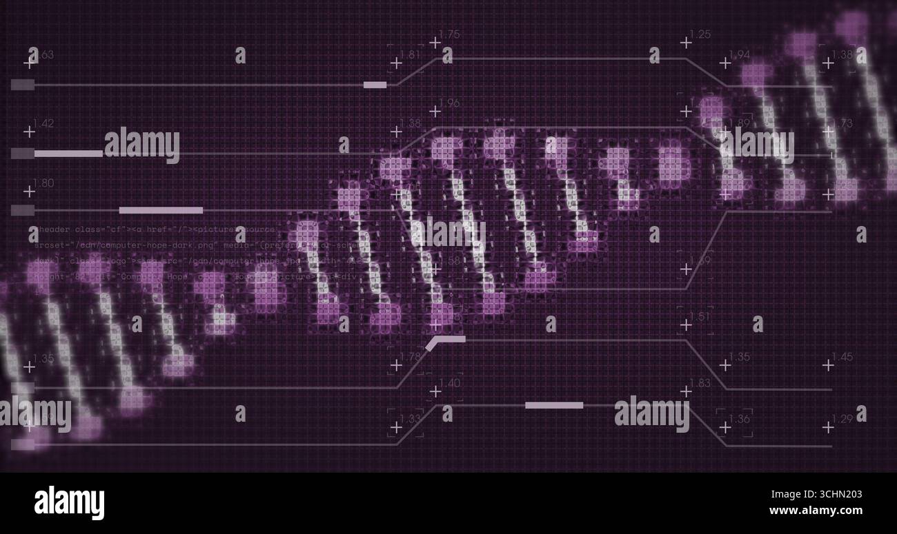 Affichage stylisé de l'hélice d'ADN sur une grille violette avec des marqueurs de données avec signe plus et des étiquettes numériques Banque D'Images