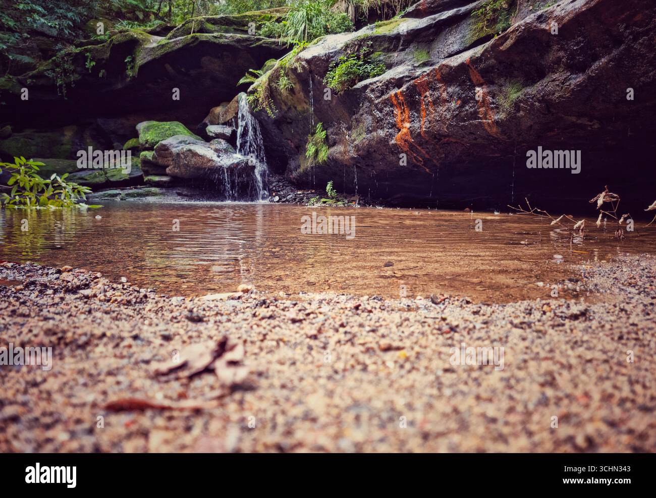 Piscine de roche naturelle tranquille avec de l'eau claire, petite cascade, et forêt verdoyante en Australie - Image de stock capturée avec un smartphone