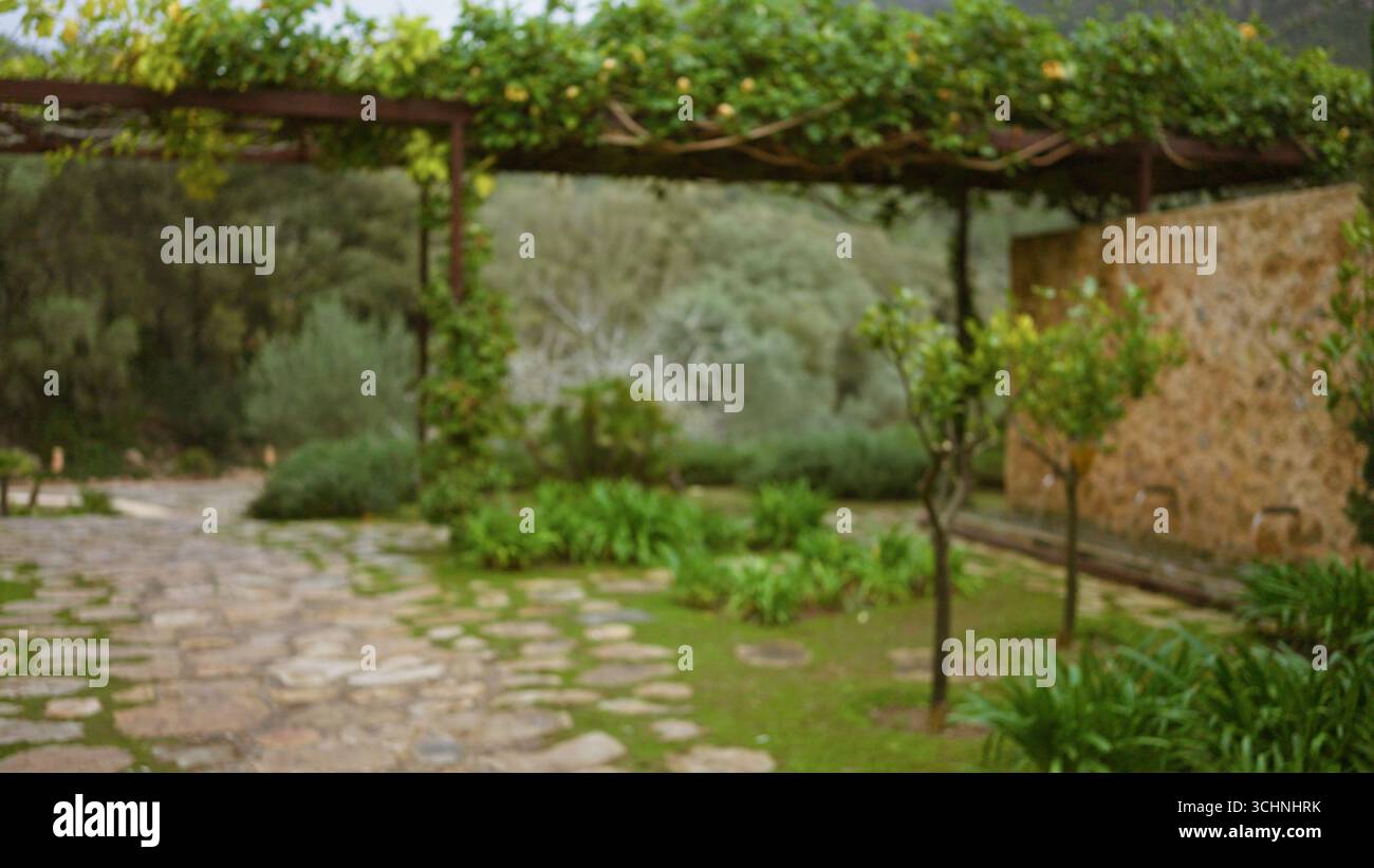 Jardin floue avec des allées de style méditerranéen et de la verdure avec des murs de pierre floues et une végétation luxuriante créant un effet bokeh serein Banque D'Images