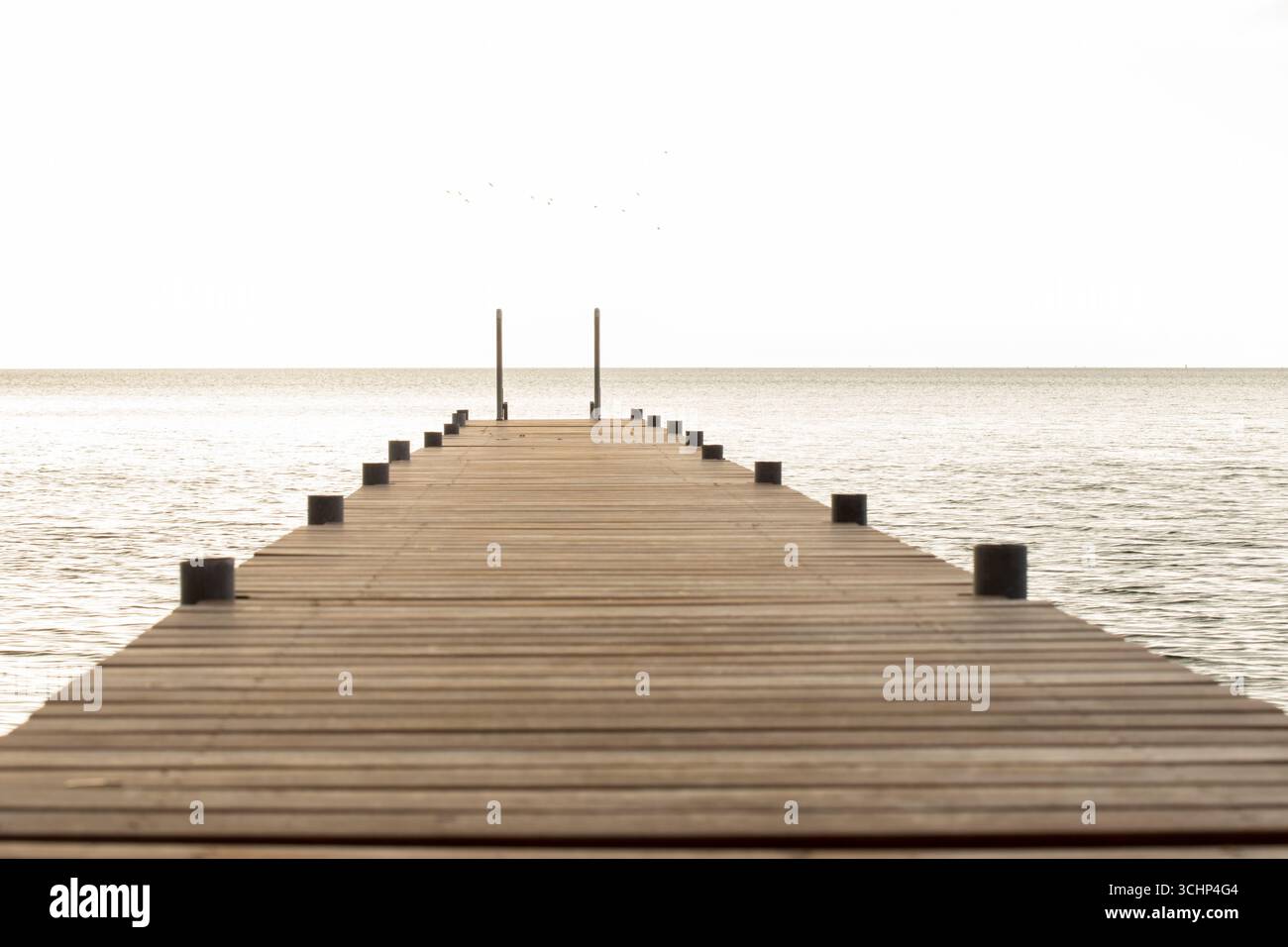 pont en bois à l'océan danois au lever du soleil menant à l'océan, espace copie à la vie de plage Banque D'Images