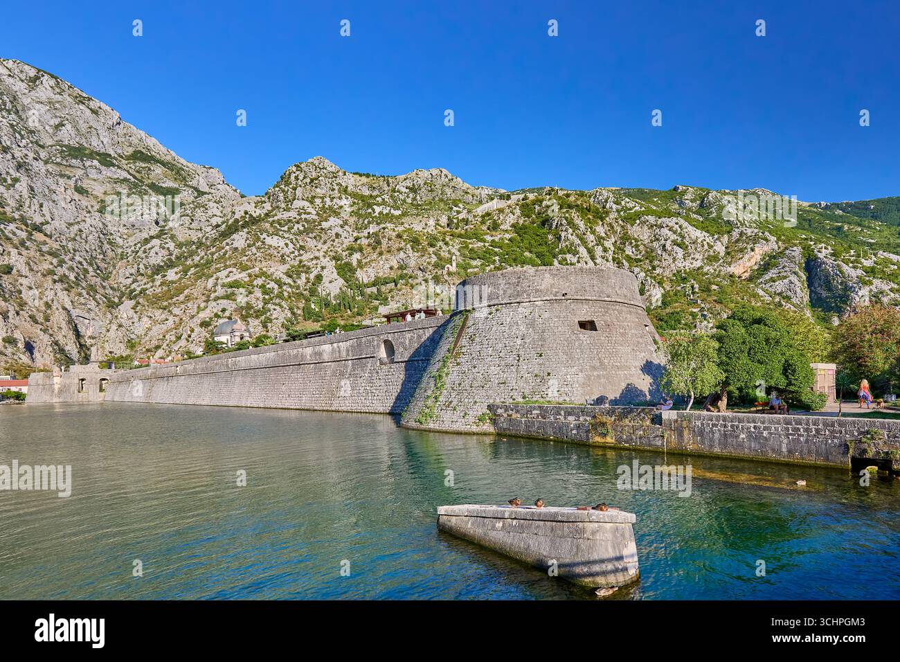 L'eau de la baie de Kotor rencontre la Citadelle du Bastion au mur du rideau Nord dans l'ancienne ville de Kotor, au Monténégro, en Europe Banque D'Images L'eau de la baie de Kotor rencontre la Citadelle du Bastion au mur du rideau Nord dans l'ancienne ville de Kotor, au Monténégro, en Europe Banque D'Images