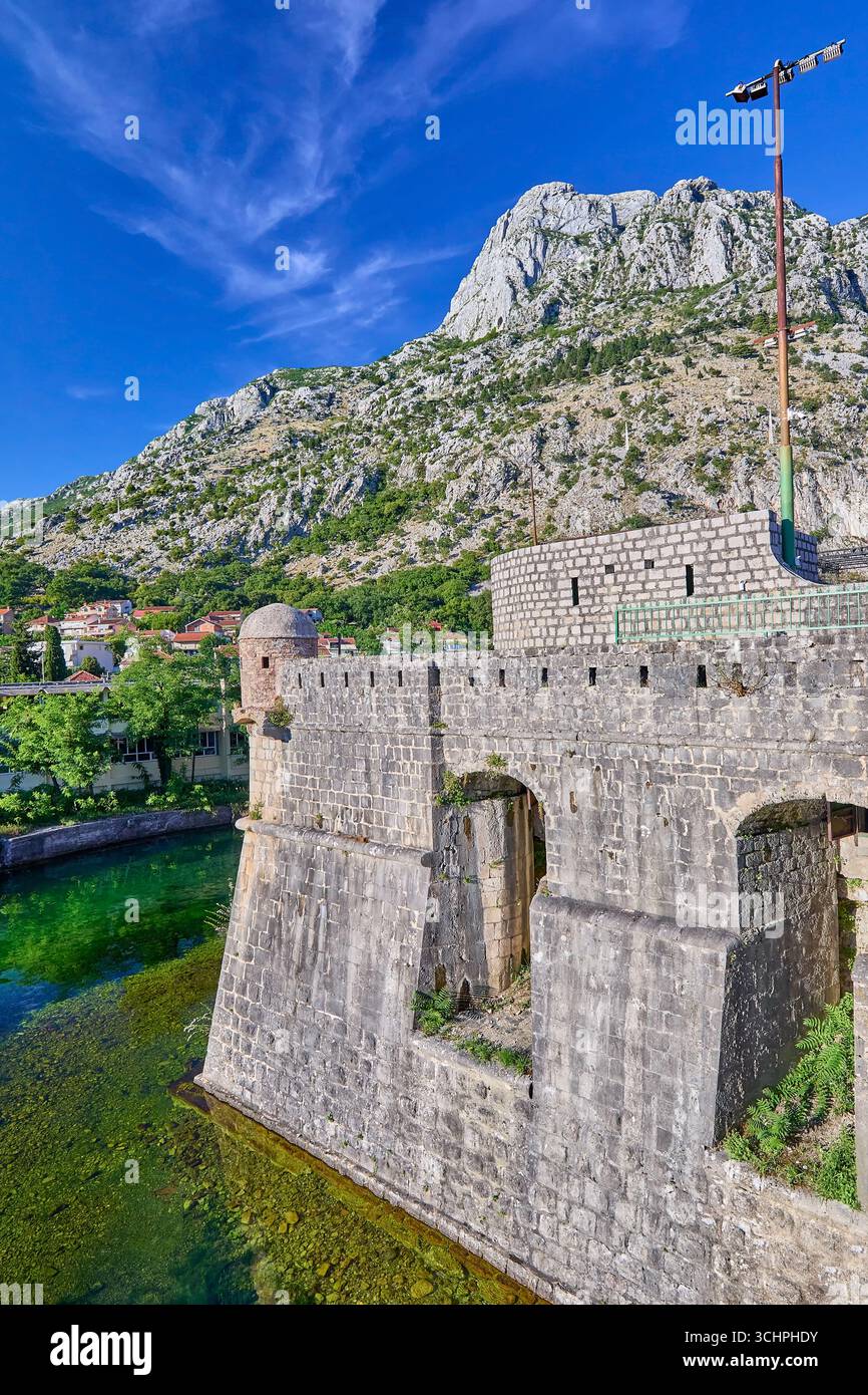 L'eau de la baie de Kotor rencontre la Citadelle du Bastion au mur du rideau Nord dans l'ancienne ville de Kotor, au Monténégro, en Europe Banque D'Images L'eau de la baie de Kotor rencontre la Citadelle du Bastion au mur du rideau Nord dans l'ancienne ville de Kotor, au Monténégro, en Europe Banque D'Images