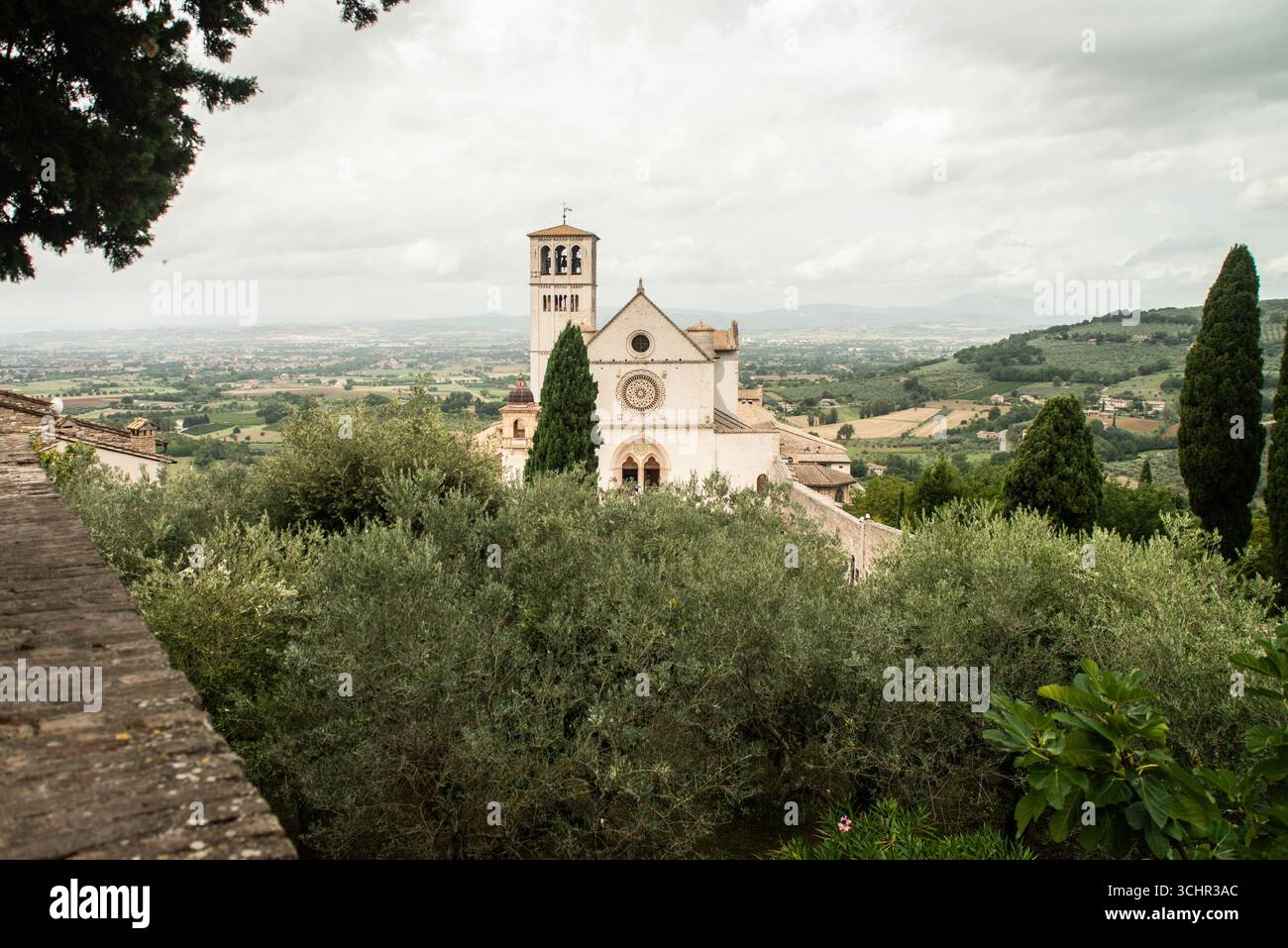 Vue sur la basilique de San Francesco d'assise entourée d'oliviers, symboles de paix. Banque D'Images
