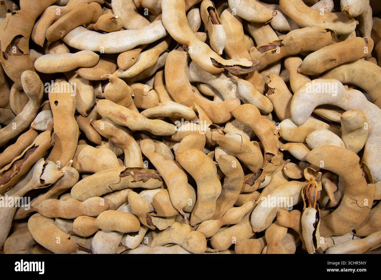 Tamarin séché dans un étal du marché de San Juan à Mexico. Banque D'Images