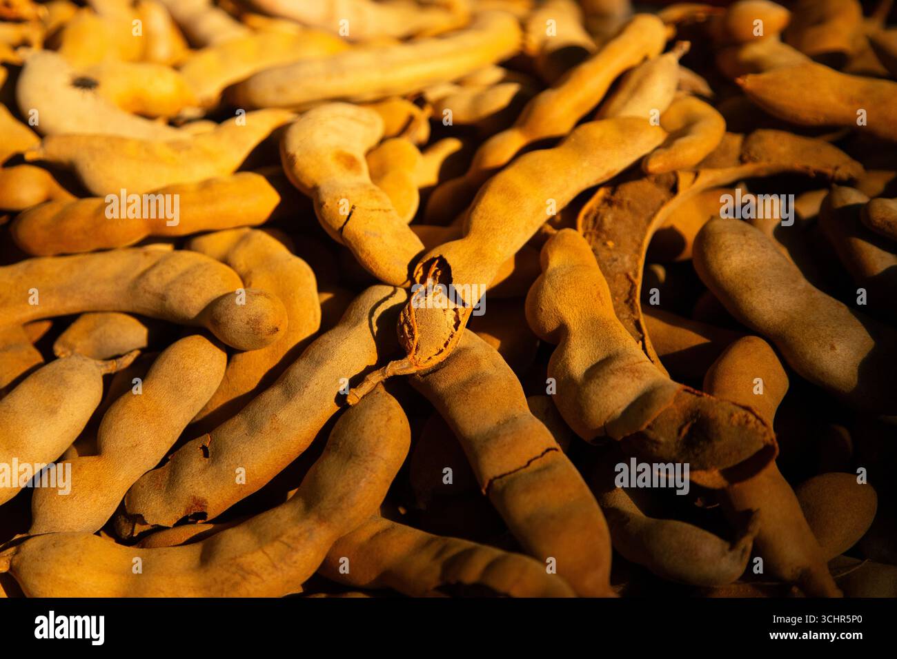 Tamarin séché dans un étal du marché de San Juan à Mexico. Banque D'Images