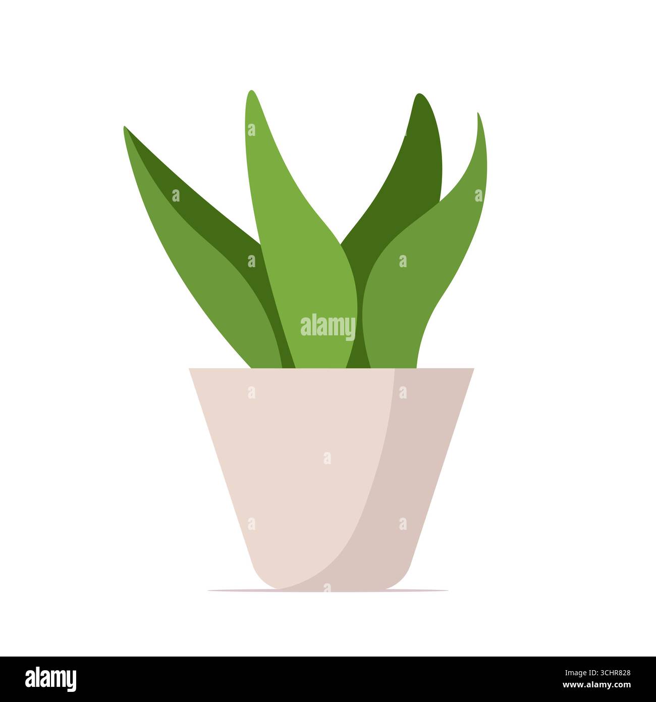 Petite plante verte d'intérieur dans un pot blanc avec des feuilles vertes vibrantes. Plante d'intérieur isolée sur un fond blanc. Vecteur non généré par IA Banque D'Images