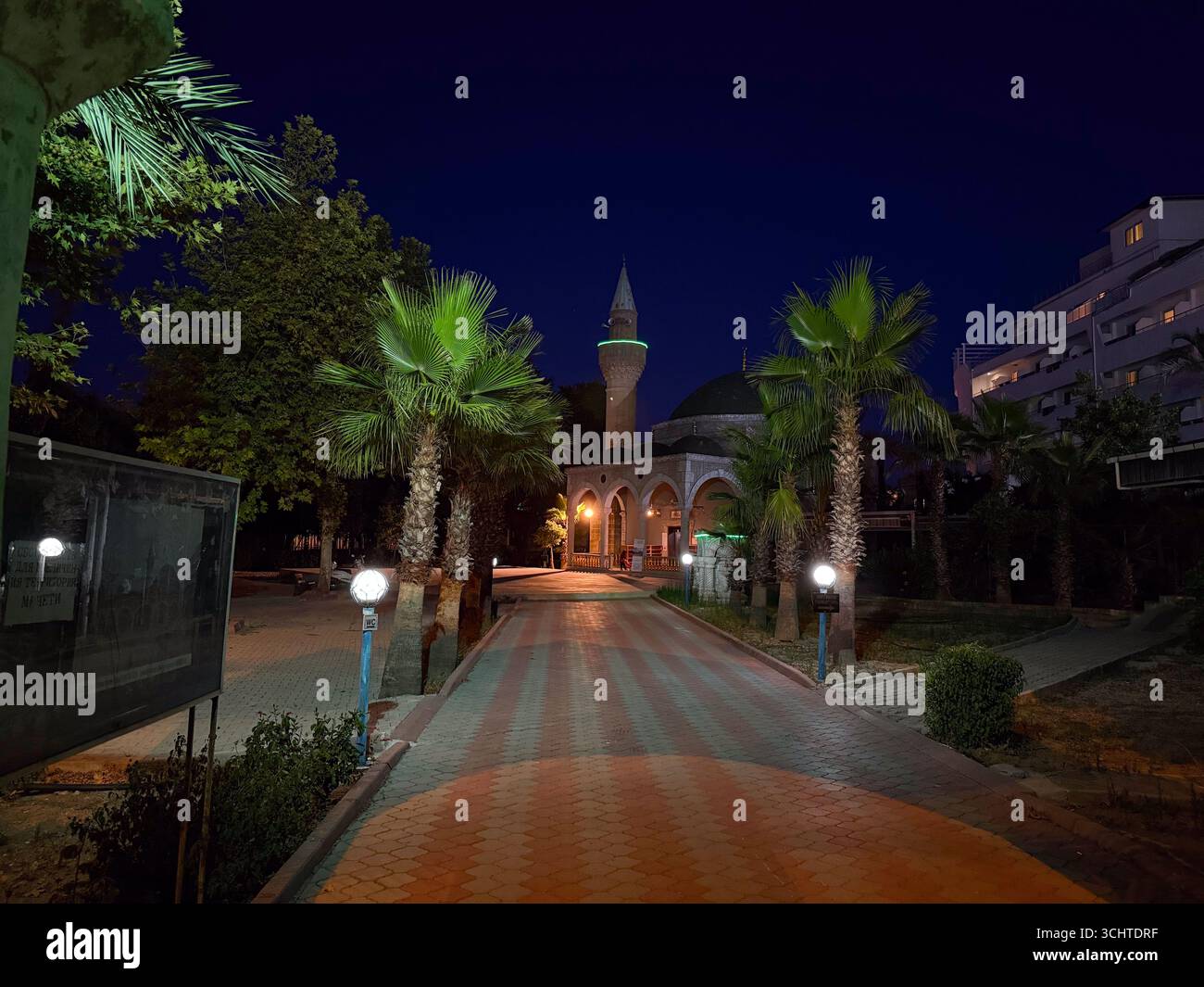 Dôme de mosquée et minaret illuminés de palmiers dans la ville du soir. Architecture, patrimoine et religion présentant la foi, la spiritualité et Banque D'Images