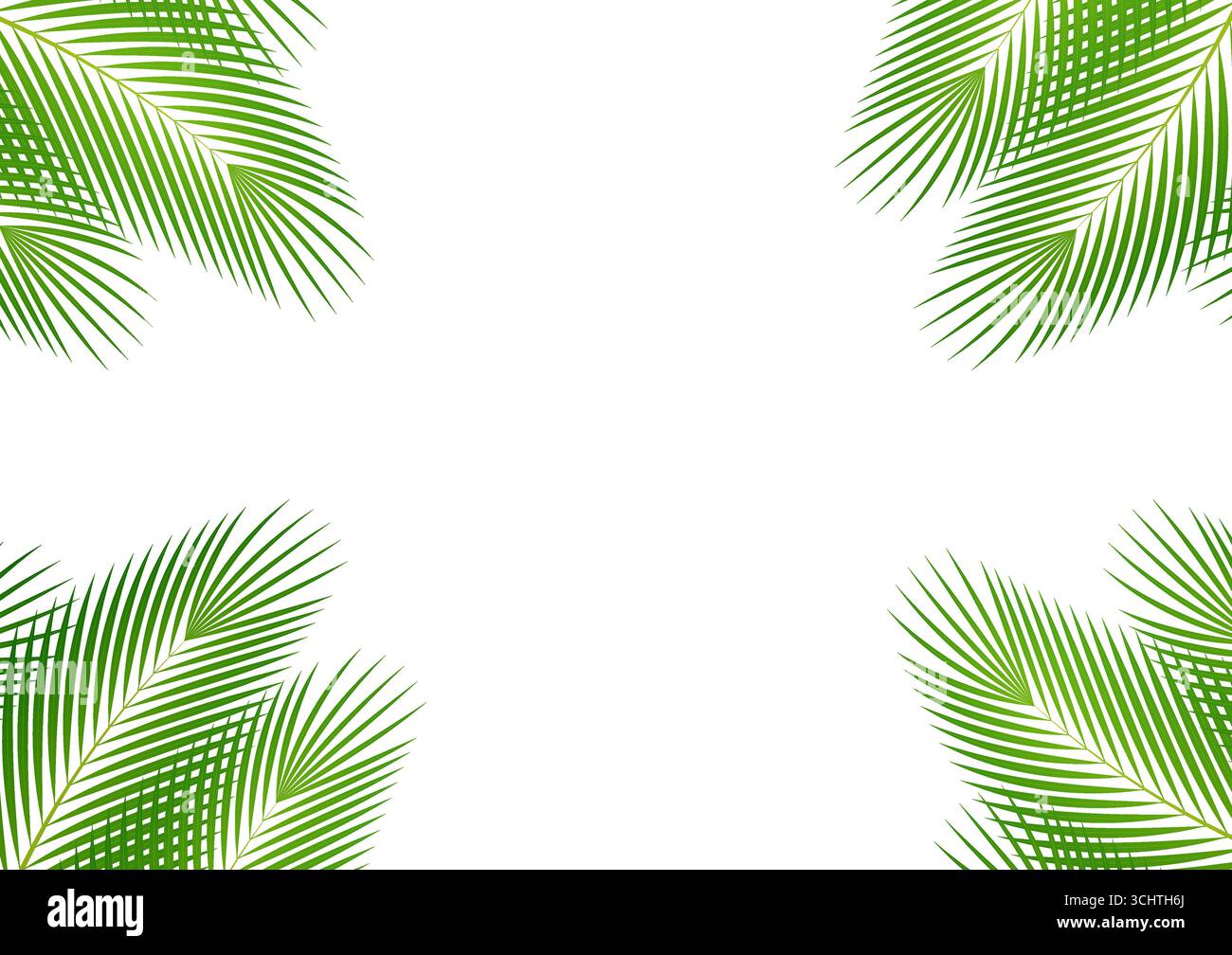 Feuilles de noix de coco ou feuilles de palmier vert. Cadre de fond d'été. Illustration vectorielle isolée sur fond blanc. Illustration de Vecteur