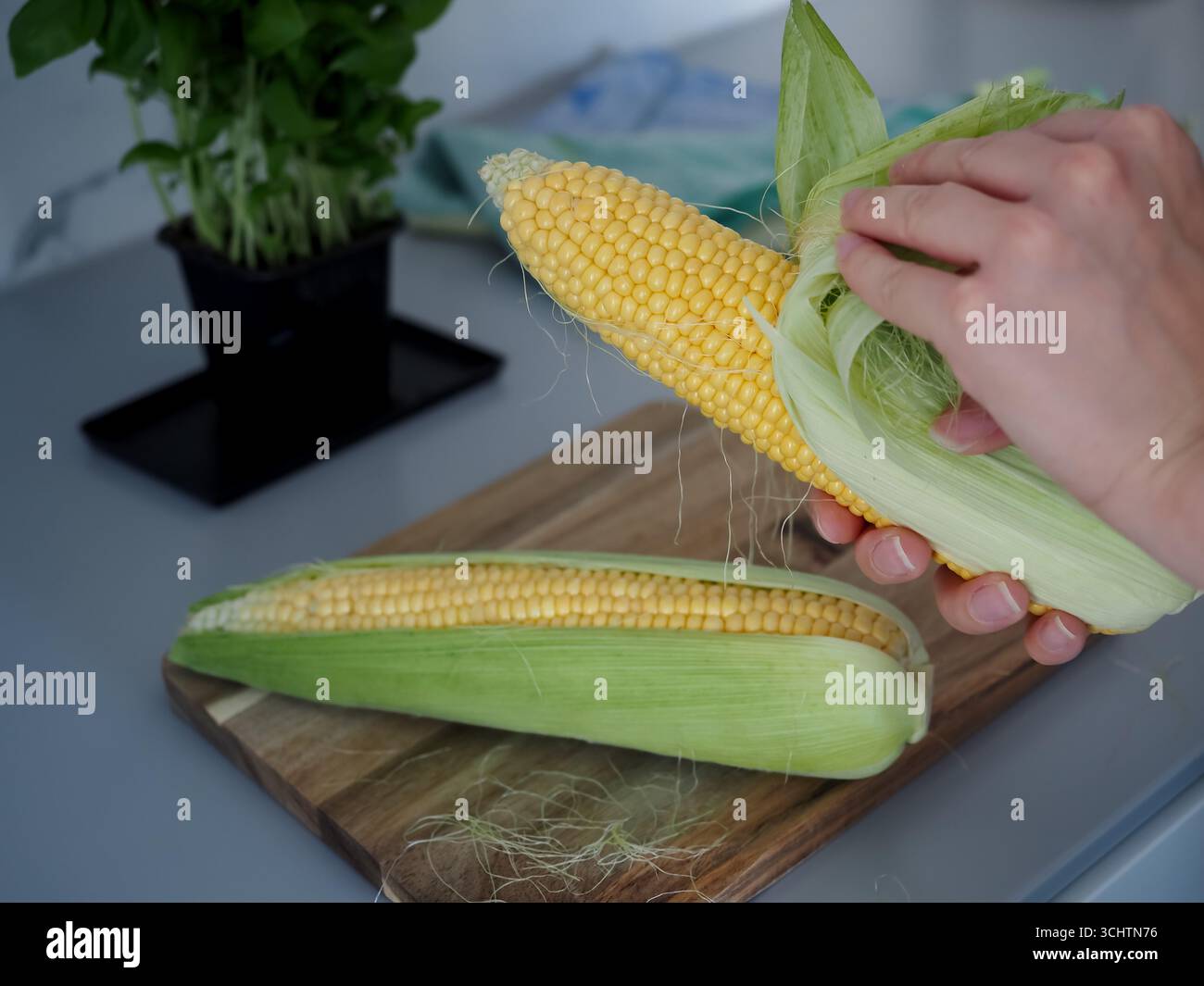 Mains préparant le maïs frais sur la planche à découper dans la cuisine Banque D'Images