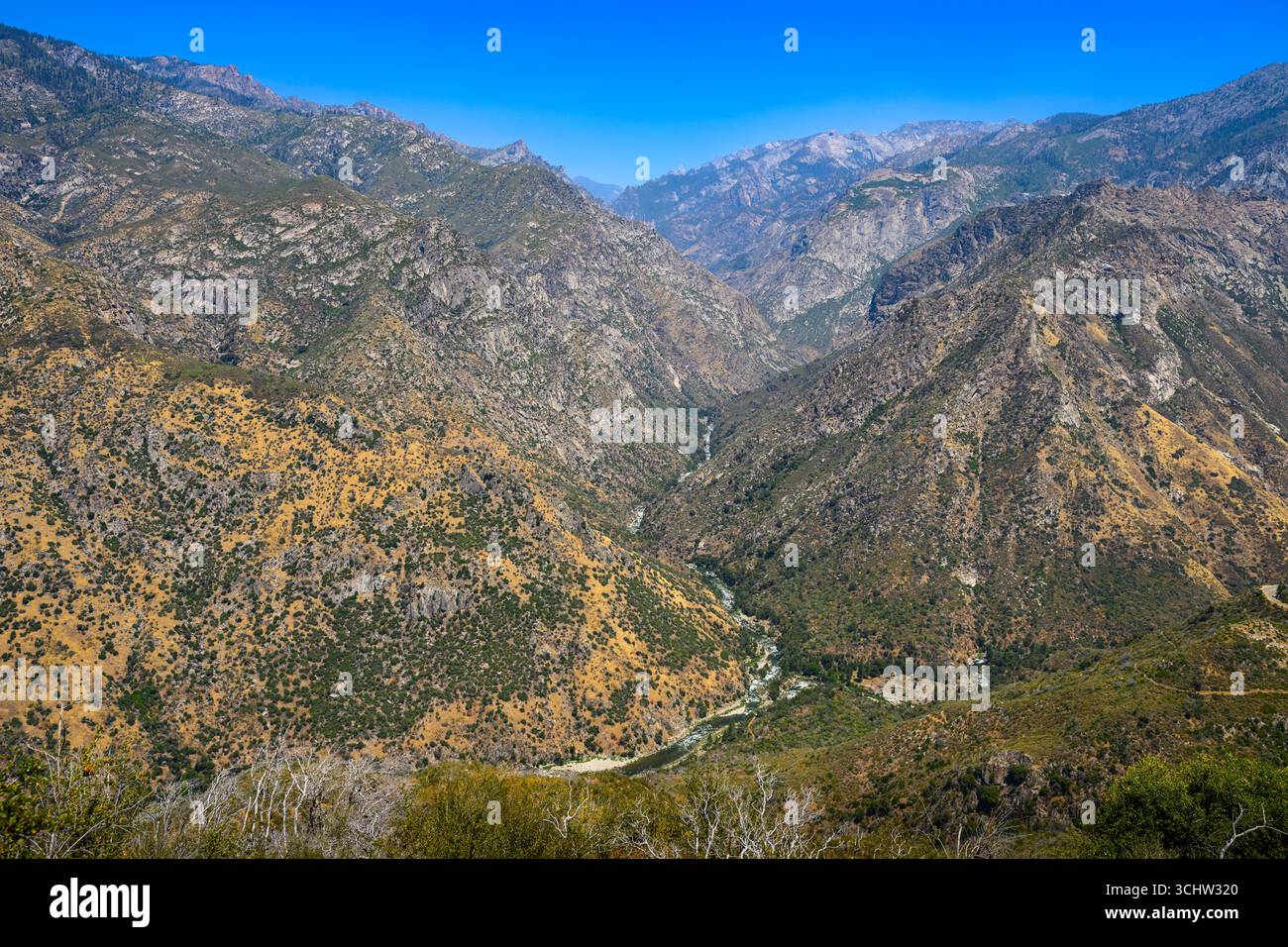 Vues depuis le parc national de Kings Canyon en Californie. Banque D'Images