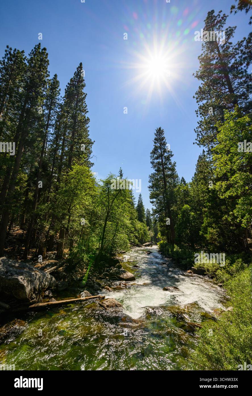Vues depuis le parc national de Kings Canyon en Californie. Banque D'Images