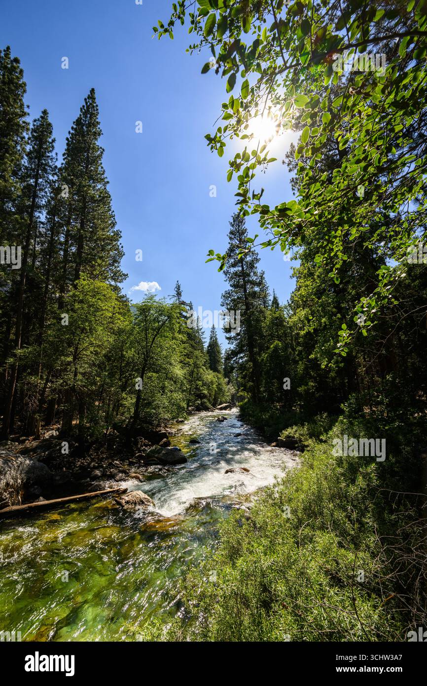 Vues depuis le parc national de Kings Canyon en Californie. Banque D'Images