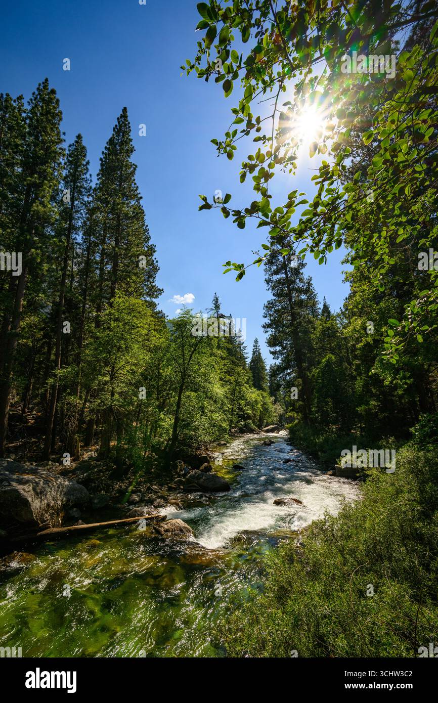 Vues depuis le parc national de Kings Canyon en Californie. Banque D'Images