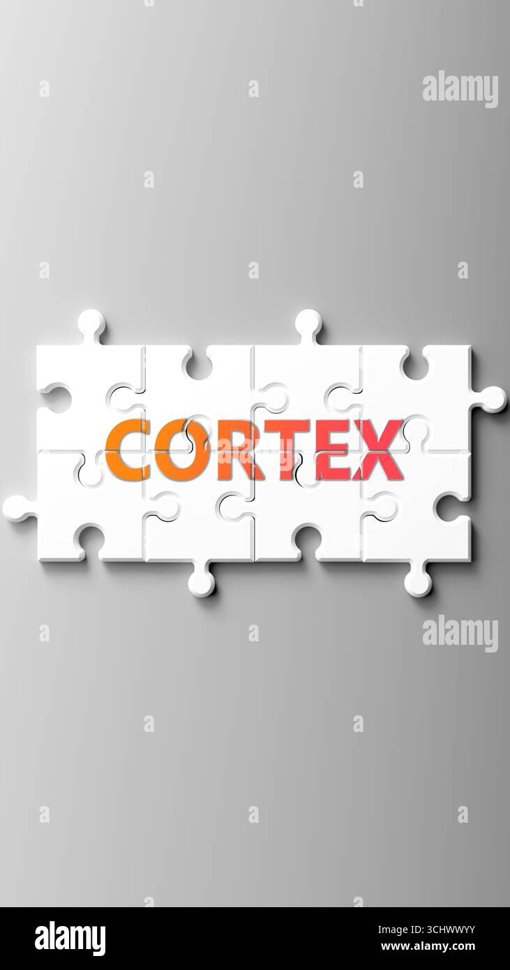 Cortex en tant que sujet complexe, lié à des sujets importants se répandant comme un nuage de mots. Banque D'Images