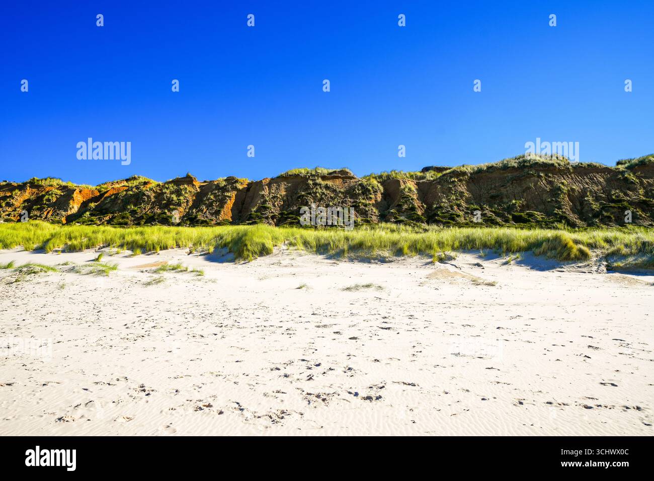 Paysage au Rotes Kliff sur l'île de Sylt, entre Wenningstadt et Kampen. Nature sur la plage de la mer du Nord. Falaises en Frise du Nord. Banque D'Images