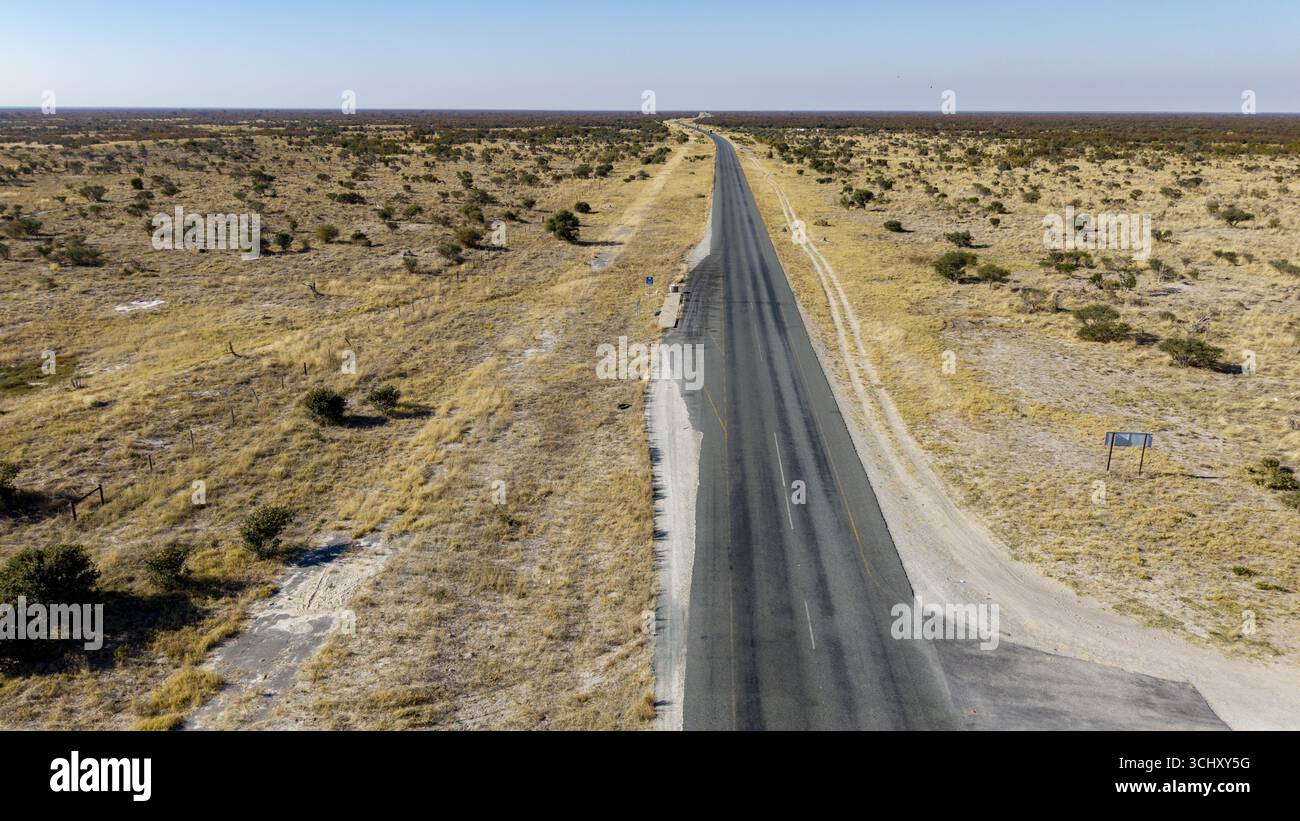 La vue aérienne d'une route noire dure traverse le paysage aride, menant à l'horizon, contrastant fortement avec la brousse dorée, Botswana. Banque D'Images