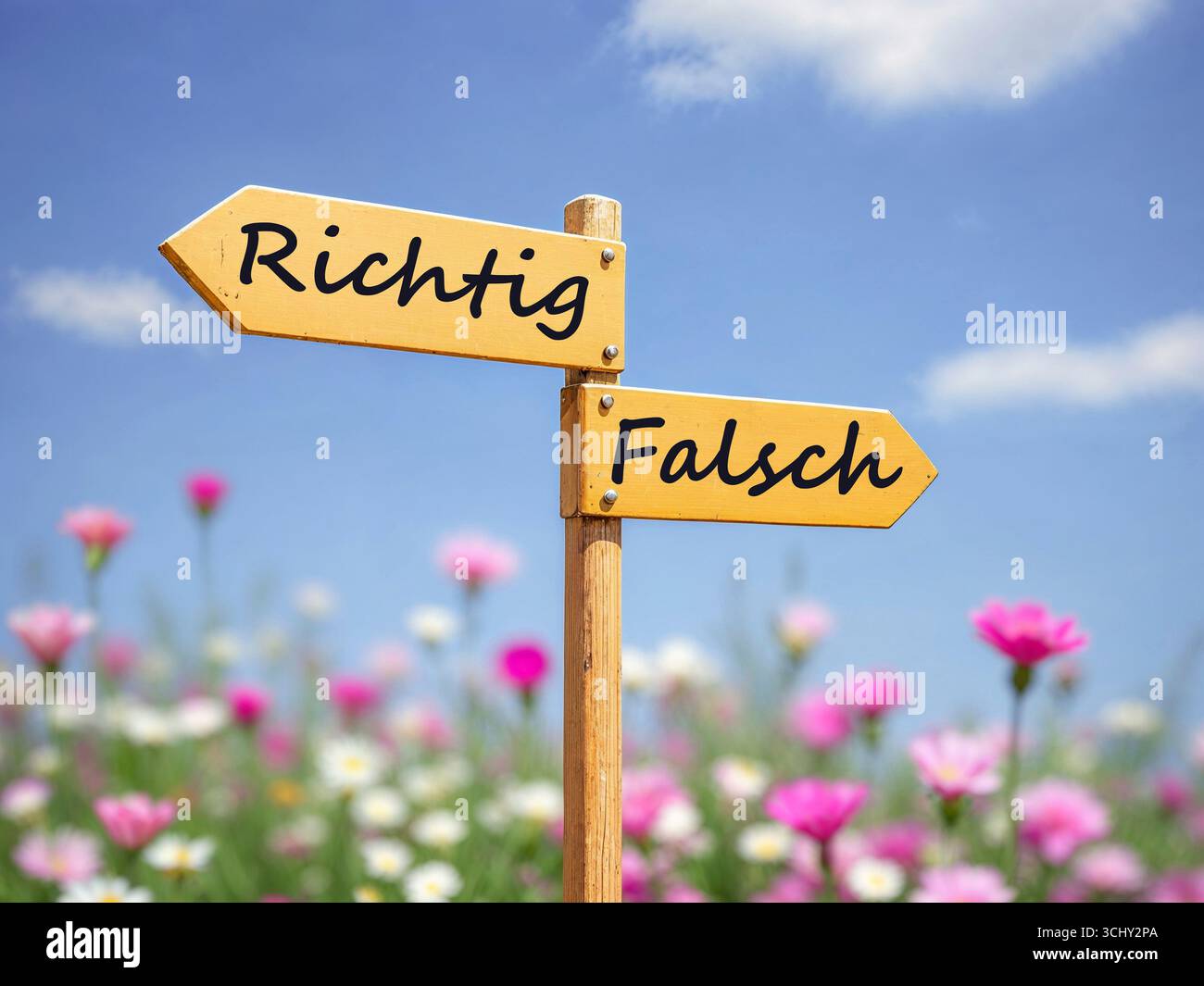 Panneau de signalisation dans une prairie de fleurs pointant dans des directions différentes : à droite ou à tort, composition, Allemagne Banque D'Images