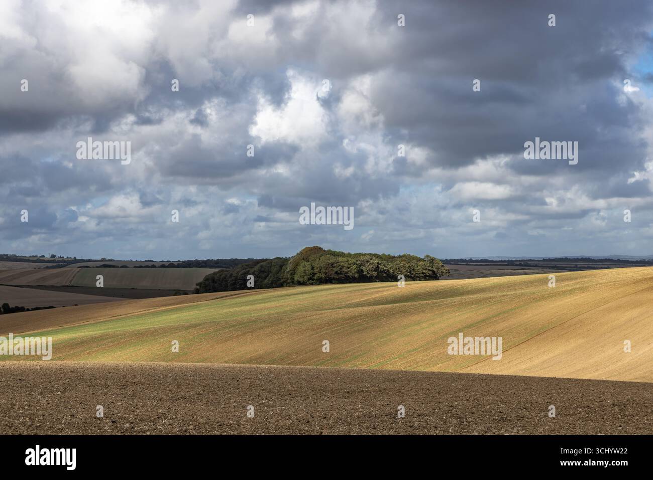 Lumière et ombre sur les terres agricoles dans le Sussex, du soleil et des nuages sur une journée de fin d'été Banque D'Images