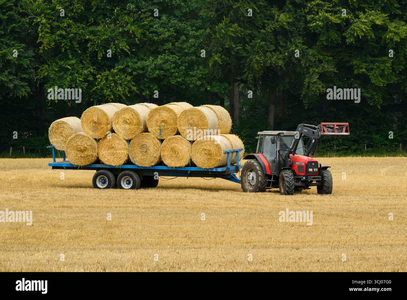 Tracteur et chargeur frontal dans les champs (vue latérale) et travail des hommes (balles de paille collectées, chargées et remorquées après récolte) - Farnley, North Yorkshire, Angleterre Royaume-Uni. Banque D'Images