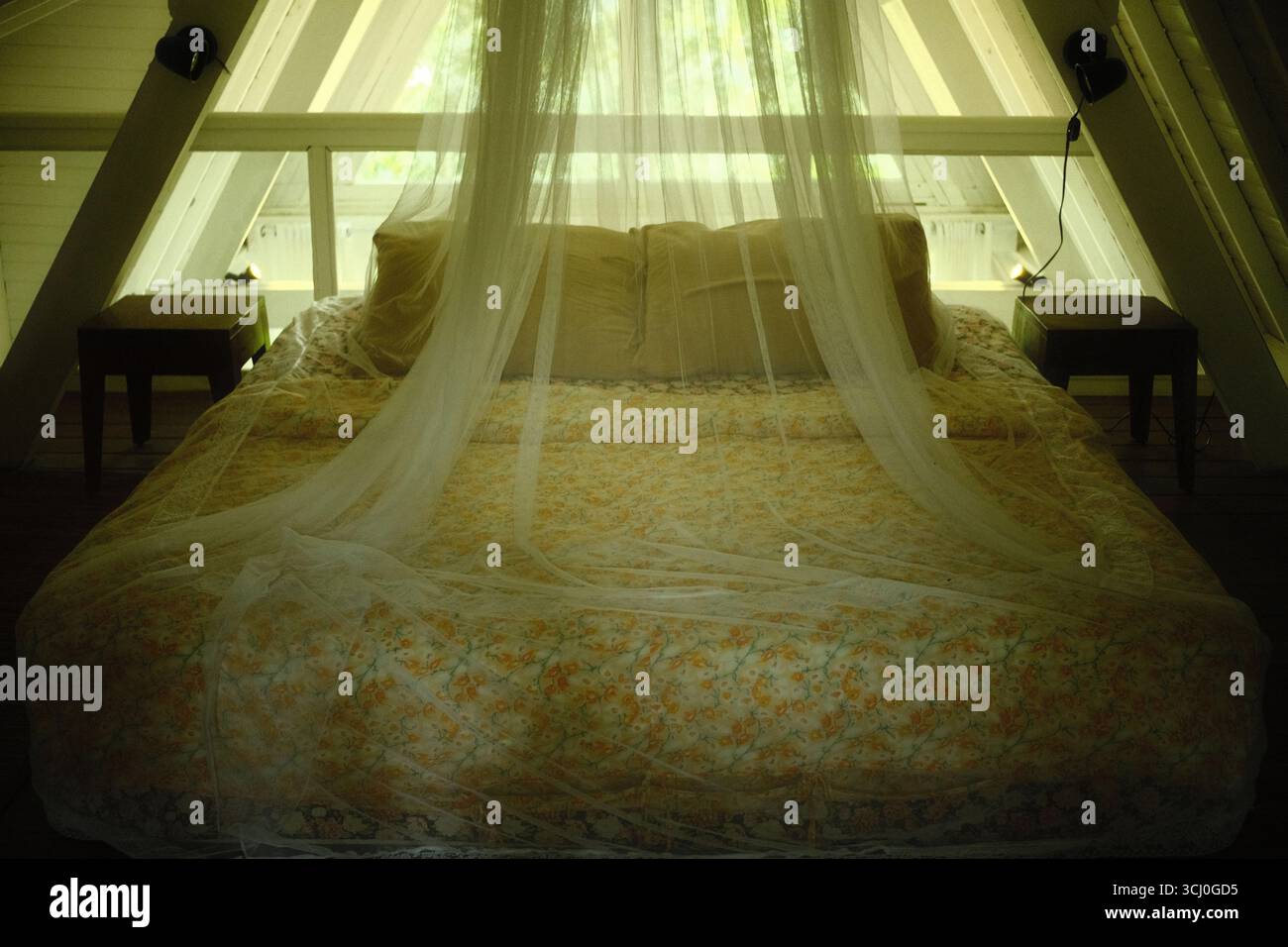 Une confortable chambre de cabane mansardée avec un lit floral couvert par une moustiquaire Banque D'Images