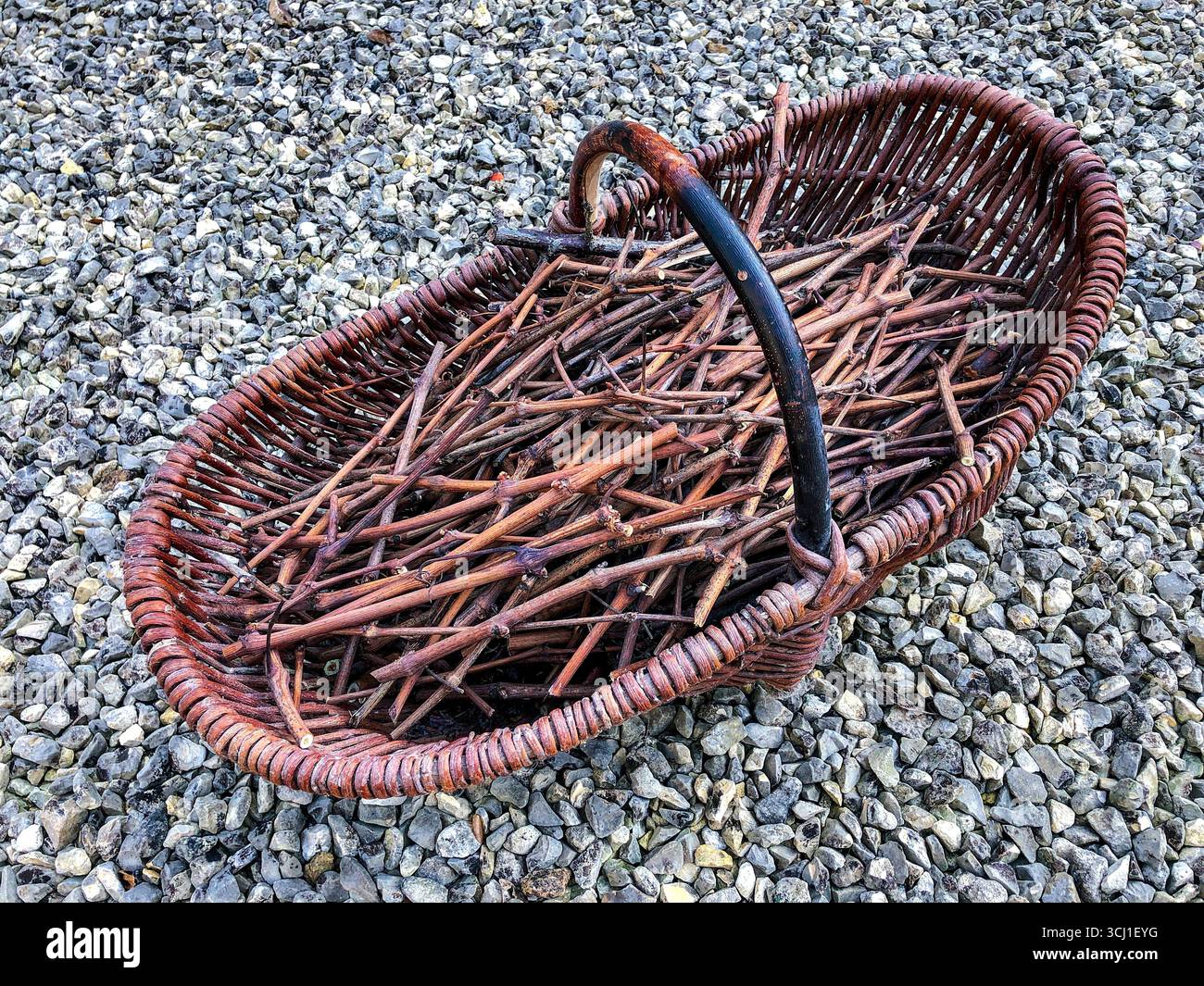 Boutures séchées de vignes en panier à utiliser pour allumer le feu ou barbecue grillades - Boussay, Inre-et-Loire (37), France. Banque D'Images