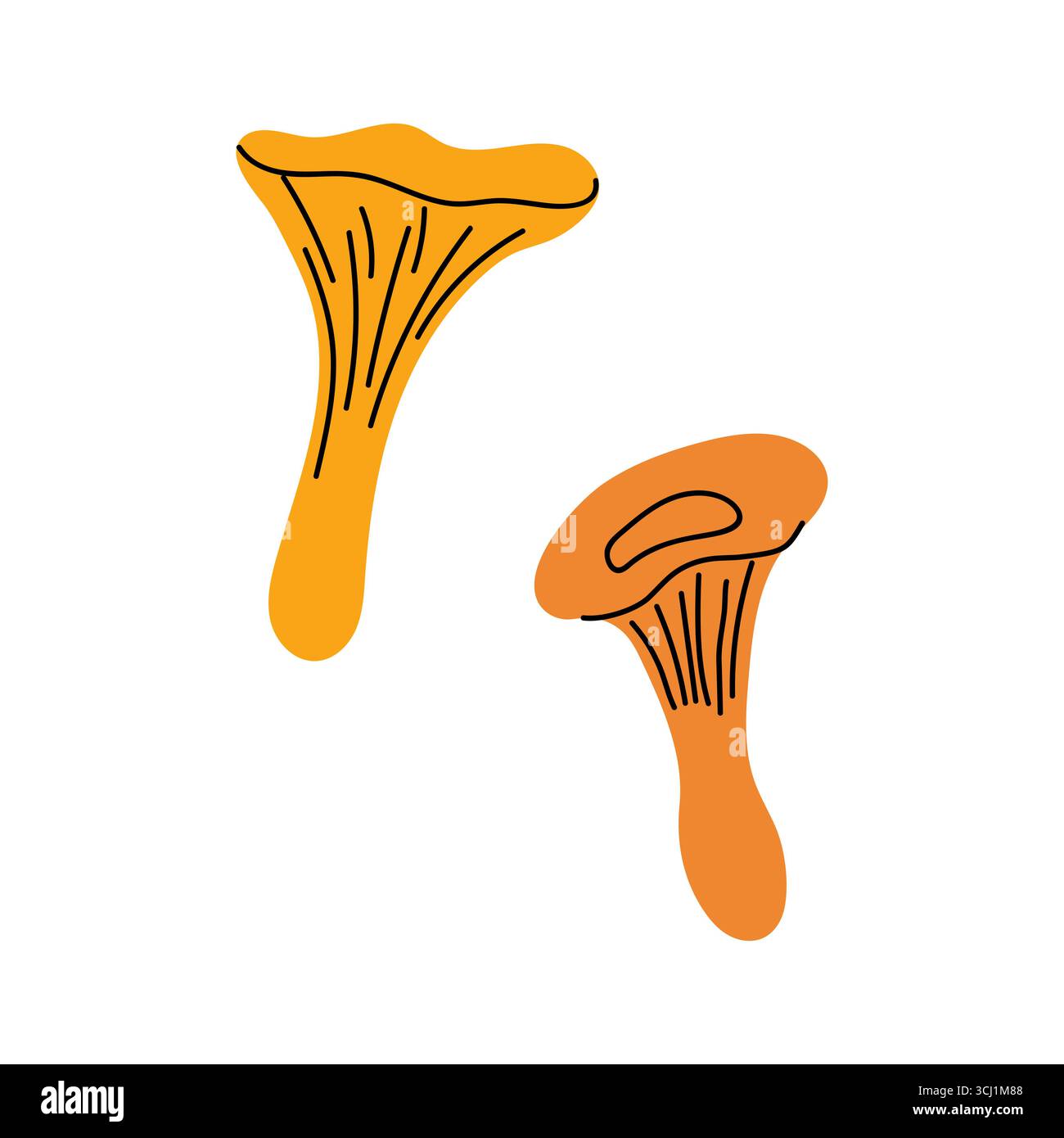 Deux champignons orange vif se distinguent au milieu d'un paysage naturel. La scène capture leurs formes et textures uniques, mettant en valeur la beauté de l'automne Illustration de Vecteur