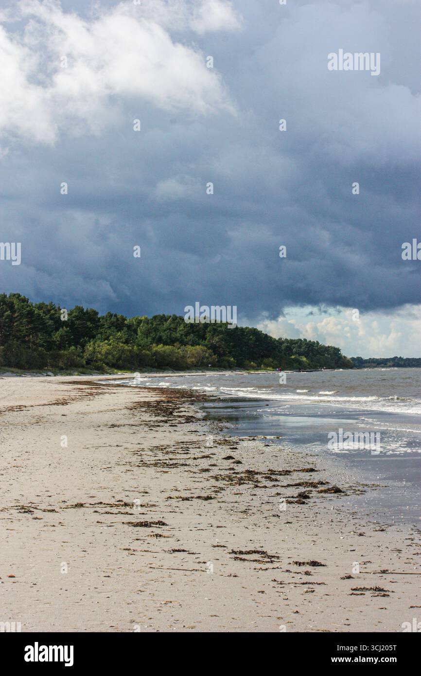 Ces belles photos ont été prises en vacances au bord de la mer. #Mer #nature #Balticsea #paysage #Woodenbench #Lettonie #été Banque D'Images