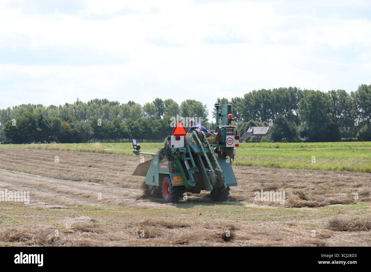 un agriculteur tourne des plants de lin secs dans un champ avec une petite machine dans la campagne néerlandaise en été Banque D'Images