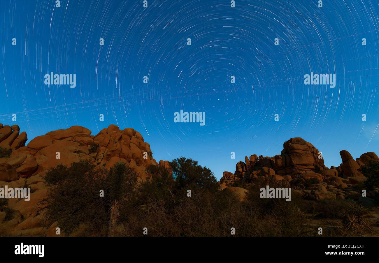 Un ciel étoilé avec des sentiers étoilés au-dessus des formations rocheuses dans le parc national de Joshua Tree. Californie. ÉTATS-UNIS Banque D'Images