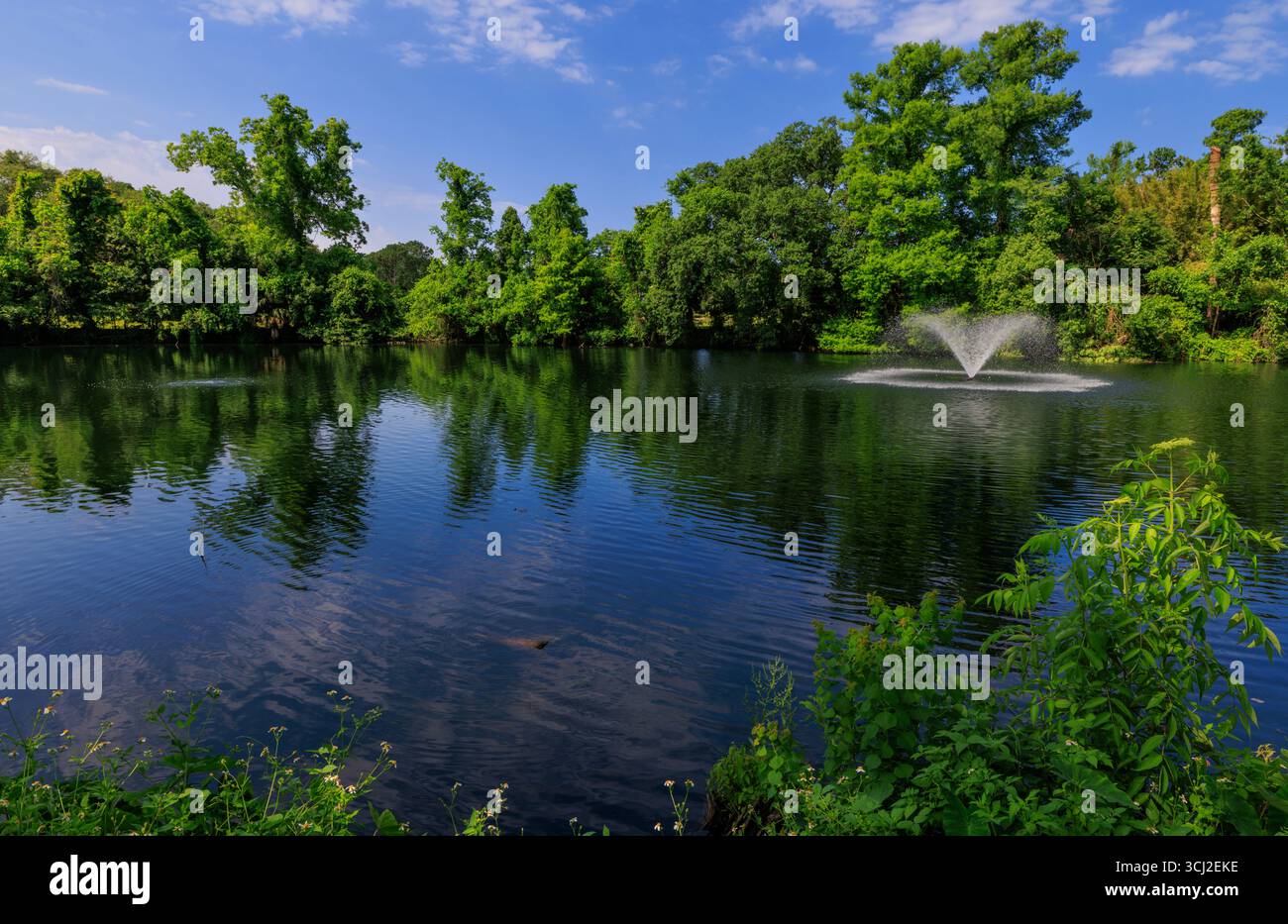 Audubon Park, Nouvelle-Orléans, Louisiane, États-Unis Banque D'Images