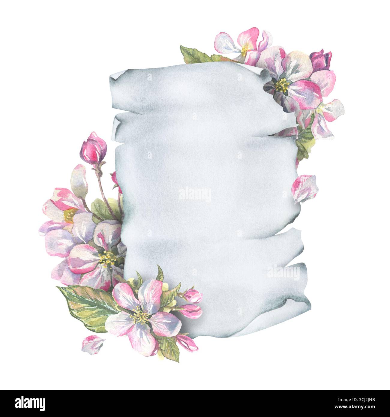 Modèle élégant pour le texte avec des fleurs de pomme florissantes et une feuille de papier torsadée, illustration délicate d'aquarelle peinte à la main, parfait pour le mariage Banque D'Images