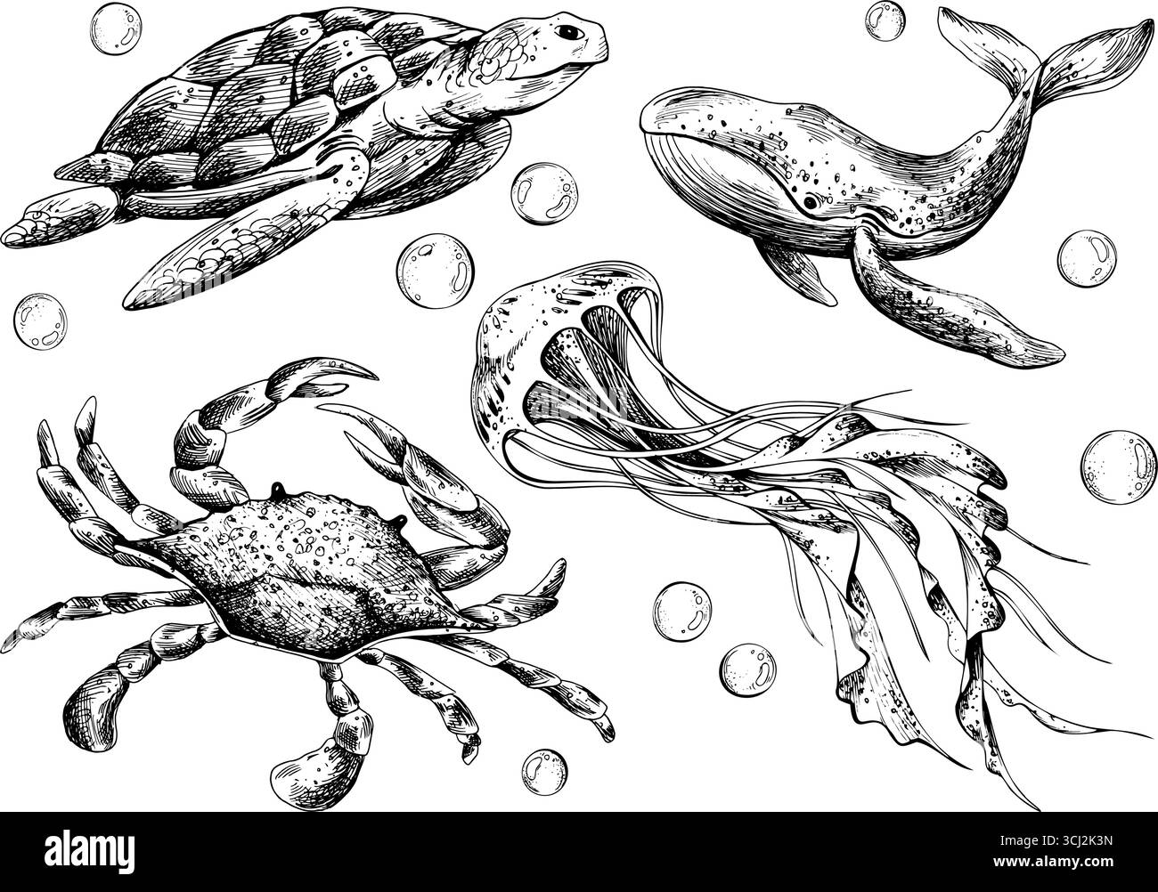 Illustration dessinée à la main de tortue, crabe, baleine et méduses. Collection nautique d'encre noire avec des bulles, parfait pour clipart, marine Illustration de Vecteur