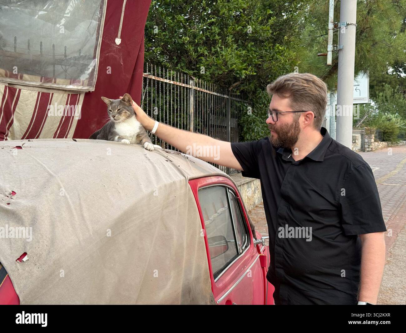 Un homme caressant un chat reposant sur le toit d'une voiture rouge. Connexion homme-animal, affection et compagnie. Banque D'Images