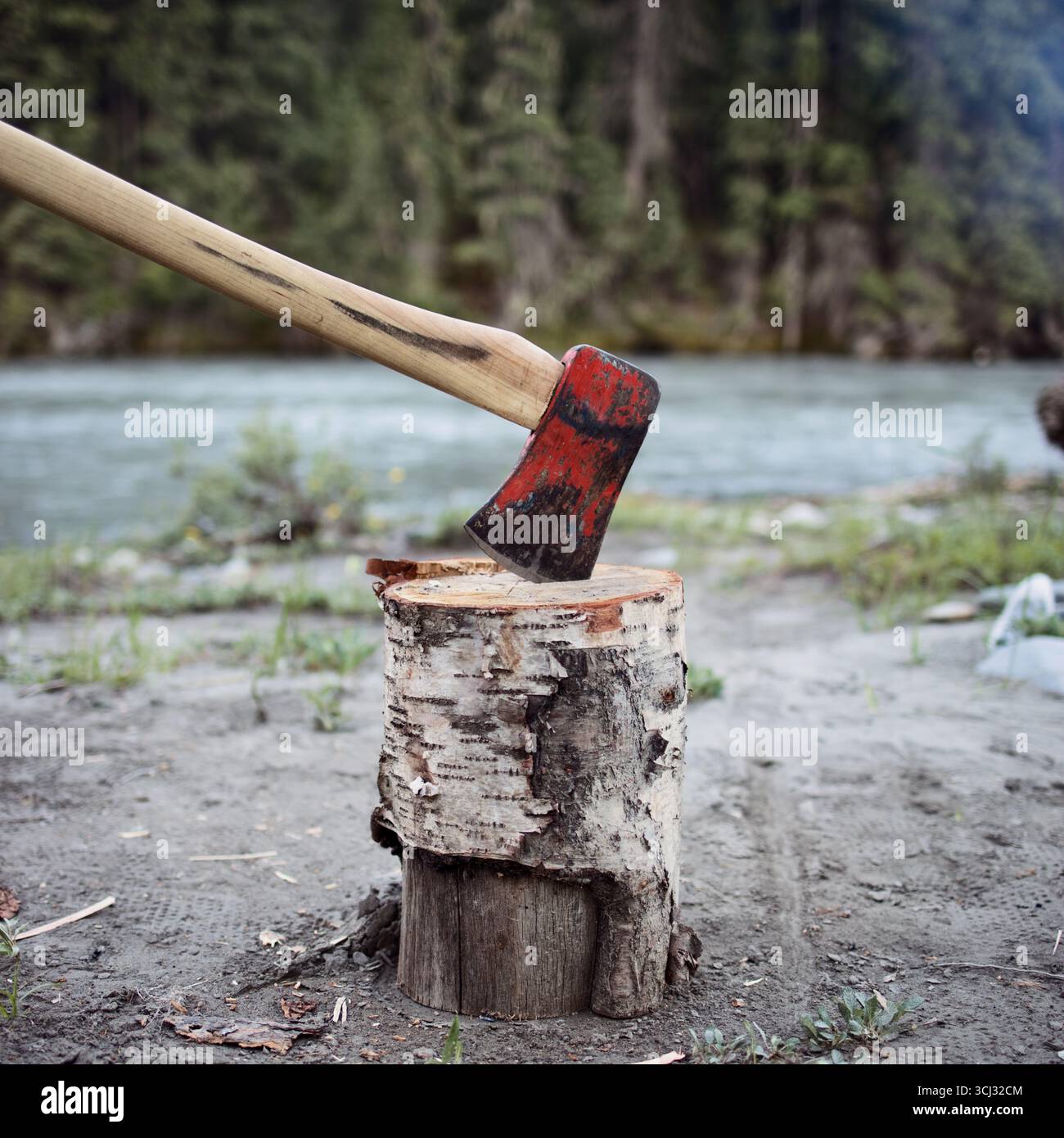 Une hache usée est perchée sur une souche d'arbre au bord d'une rivière glaciaire dans la chaîne de montagnes Kootenays dans les montagnes Rocheuses canadiennes pour la préparation du bois de chauffage. Banque D'Images