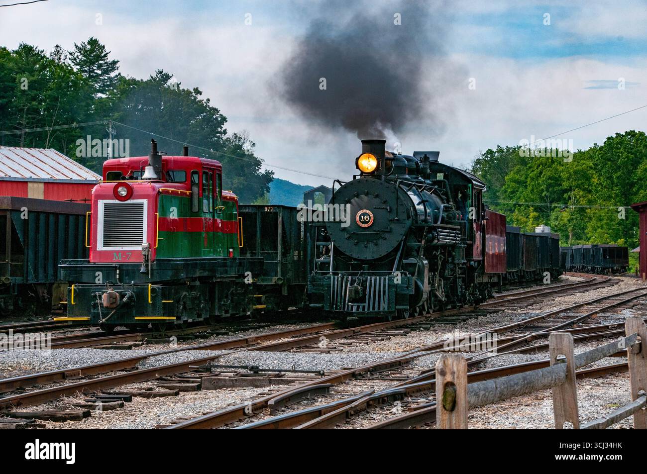 Deux trains vintage sont vus dans une gare de triage, l'un dégageant de la vapeur et de la fumée tandis que l'autre attend son départ. La scène capture l'essence du voyage en train dans la nature en toile de fond. Banque D'Images