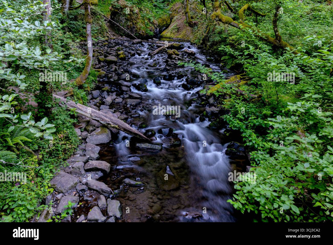 Bridal Veil Creek Oregon Banque D'Images