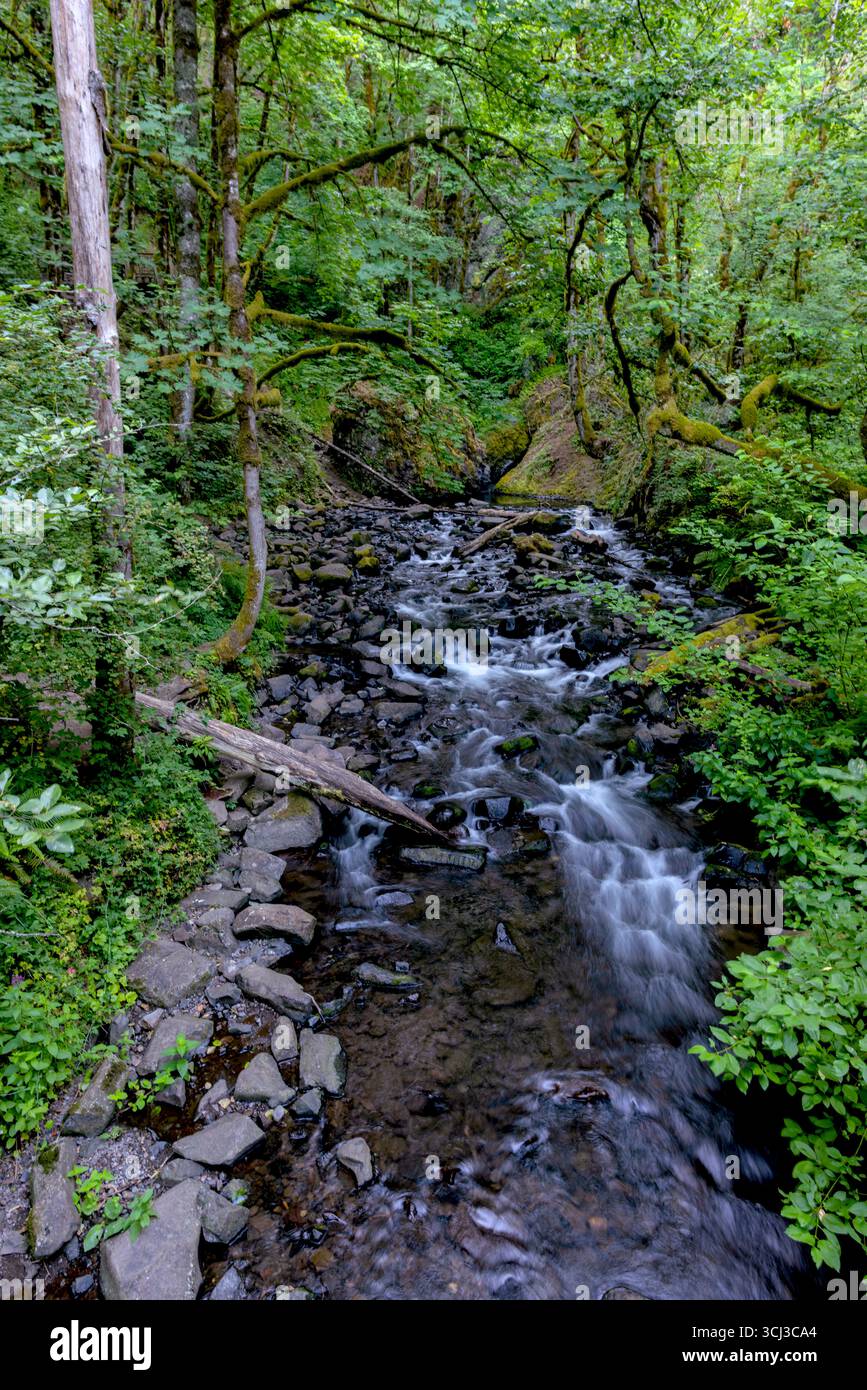 Bridal Veil Creek Oregon Banque D'Images