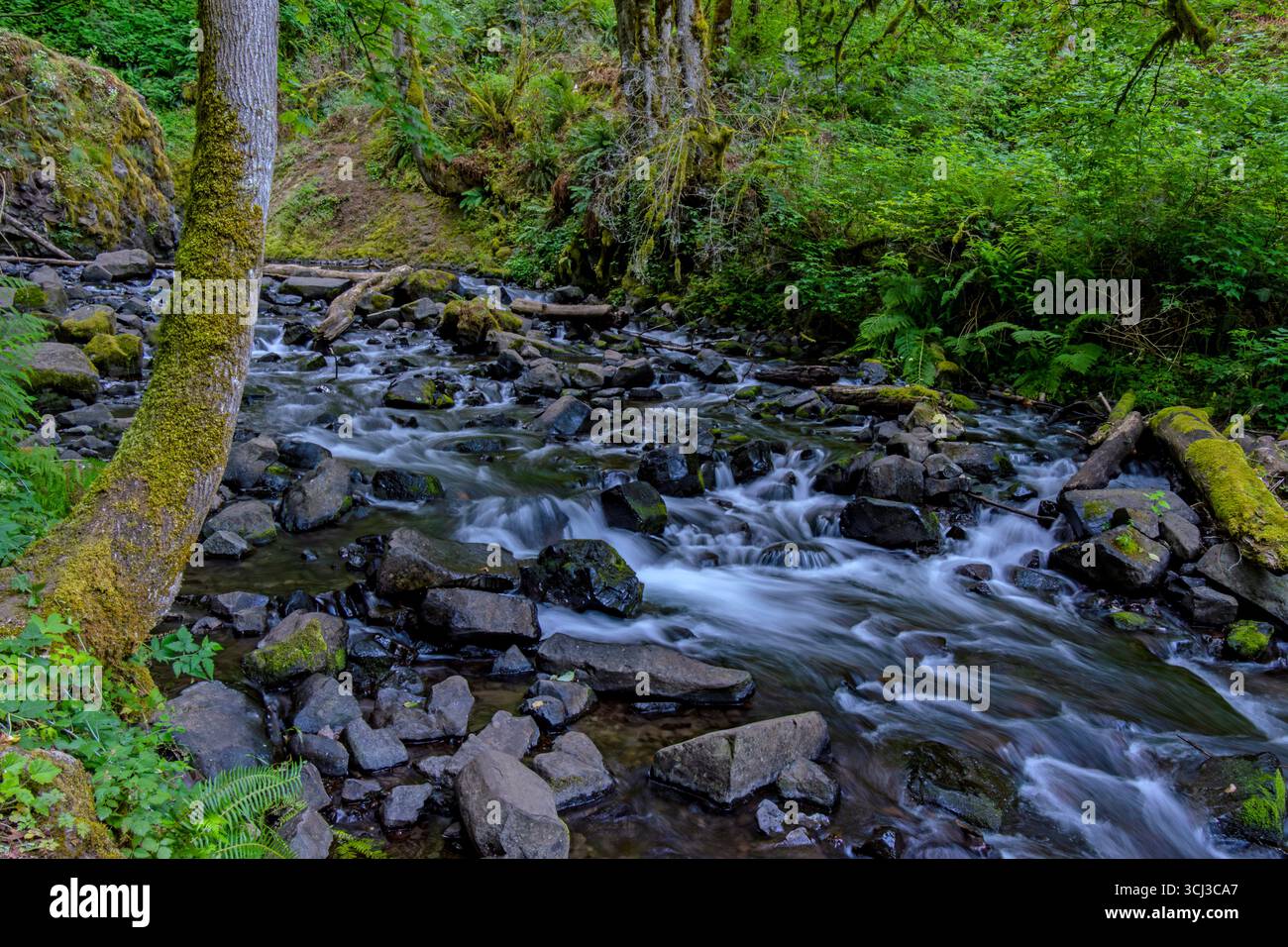 Bridal Veil Creek Oregon Banque D'Images