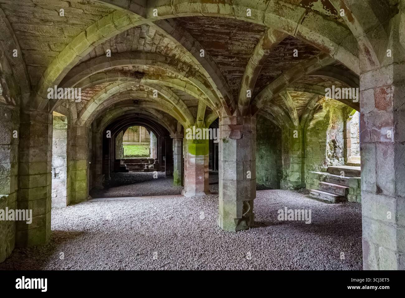 Plafond voûté en pierre et piliers dans le soubassement médiéval du prieuré Lanercost Banque D'Images