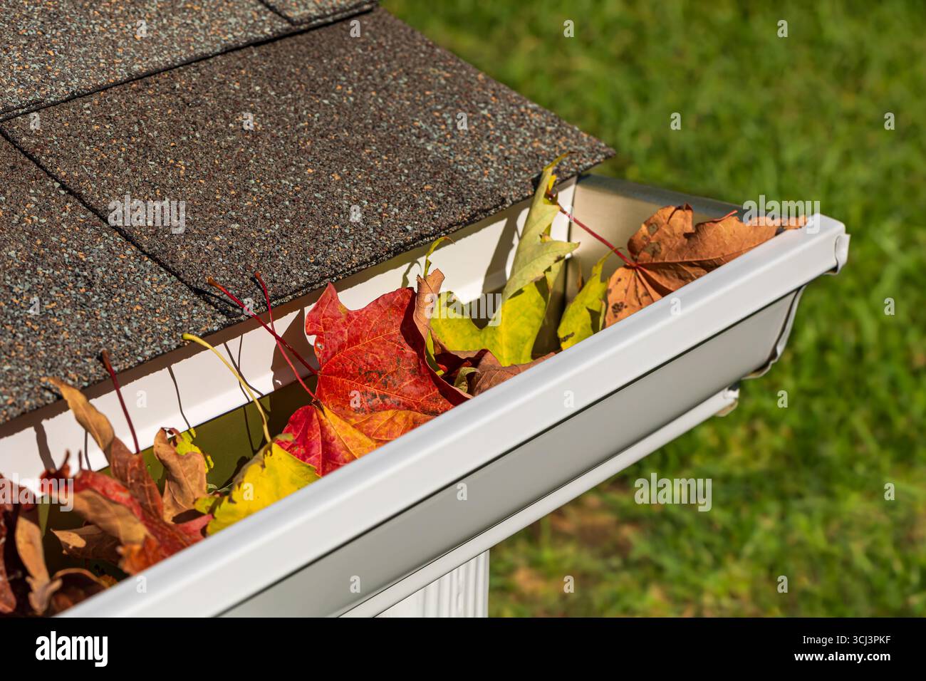 Gros plan de gouttière de pluie de maison bouchée par des feuilles colorées tombant des arbres en automne. Entretien de la maison, travaux de triage et concept de dommages au toit Banque D'Images
