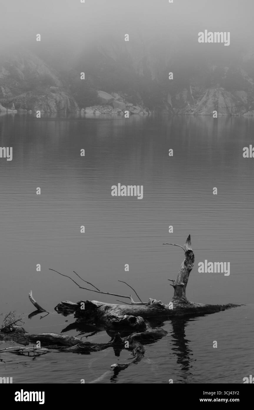ENG: Brouillard matinal dans le réservoir de Cavallers (vallée de Boí, Parc national d'Aigüestortes i Estany de Sant Maurici, Catalogne, Espagne, Pyrénées) ESP: Nieblas Banque D'Images