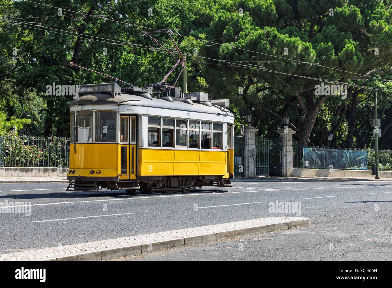 Un tramway jaune historique glisse dans une rue bordée d'arbres de Lisbonne, son design emblématique est un symbole intemporel du charme et du patrimoine de la ville. Un ensoleillé, SC Banque D'Images
