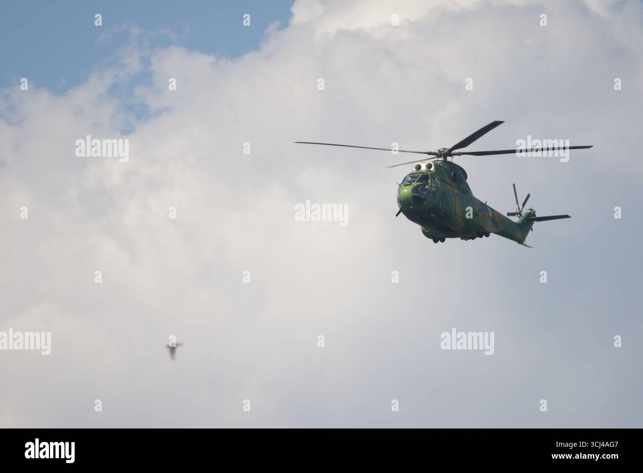 IAR-330 hélicoptère militaire Puma des forces aériennes roumaines en vol. Banque D'Images