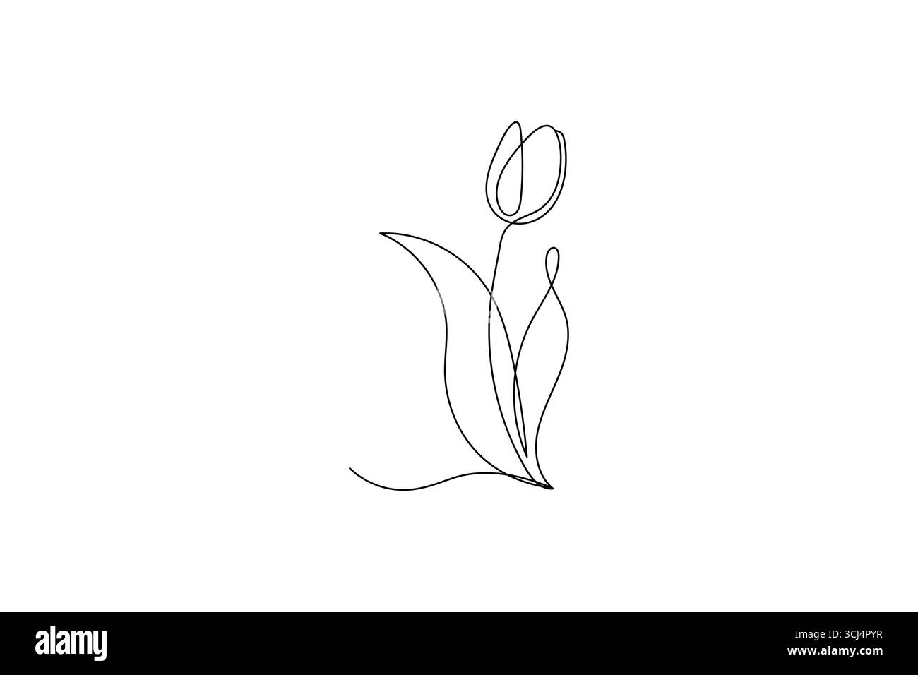 Herbe et fleurs abstraites dessin d'une seule ligne illustration vectorielle isolée Illustration de Vecteur