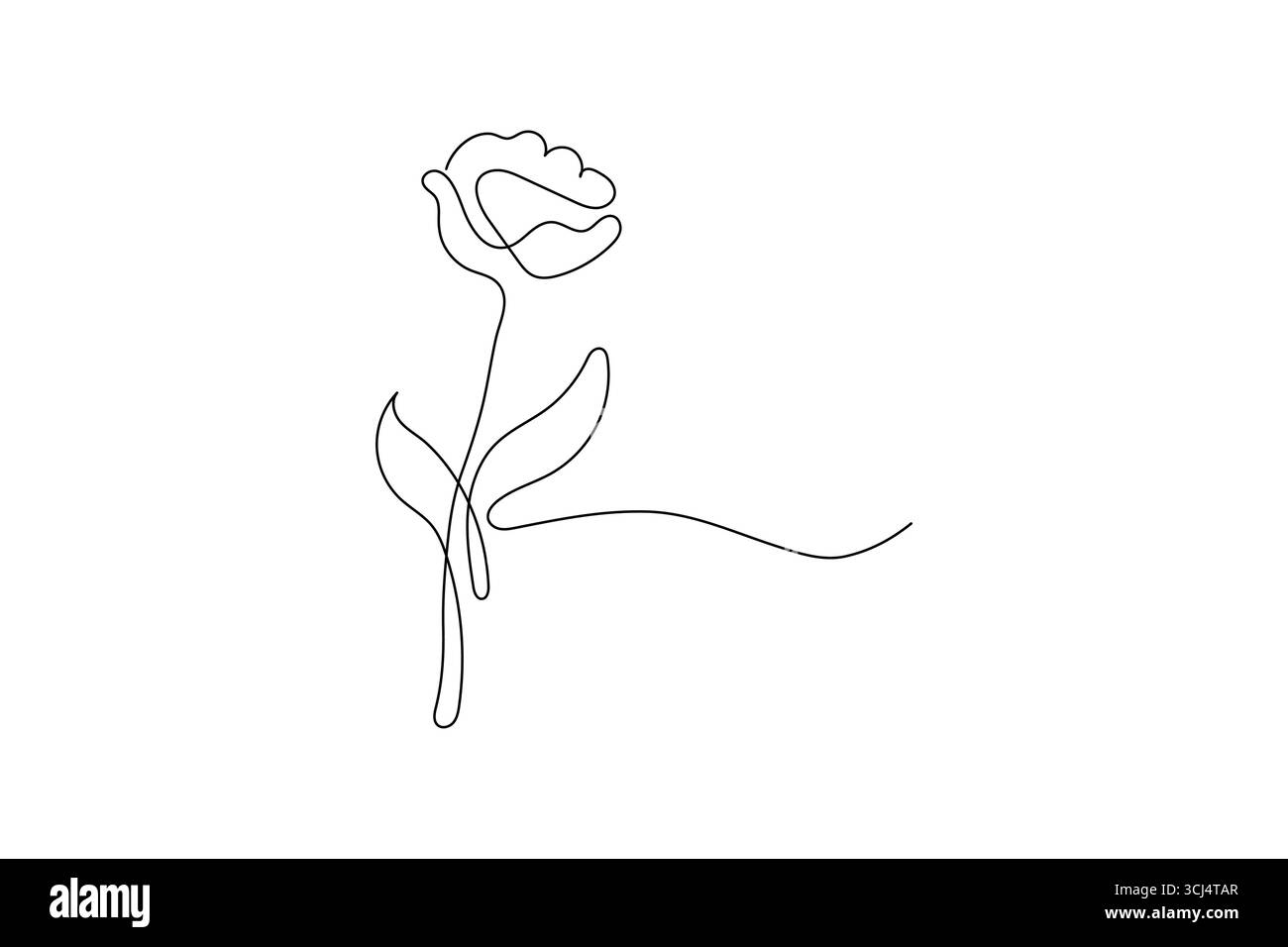 Herbe et fleurs abstraites dessin d'une seule ligne illustration vectorielle isolée Illustration de Vecteur