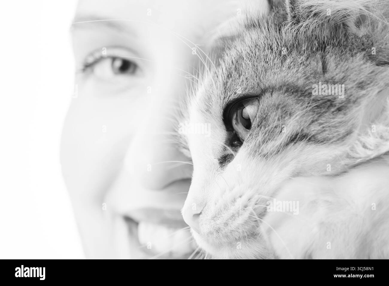 Visage féminin souriant avec portrait de chat en gros plan sur fond blanc, monochrome Banque D'Images