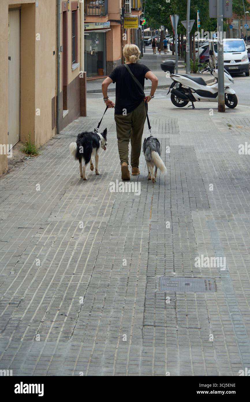 Viladecans. Barcelone - 05 septembre 2025 : une femme profite d'une promenade quotidienne avec ses deux chiens de compagnie. Évoque des concepts d'amitié, de loyauté, d'un sain Banque D'Images