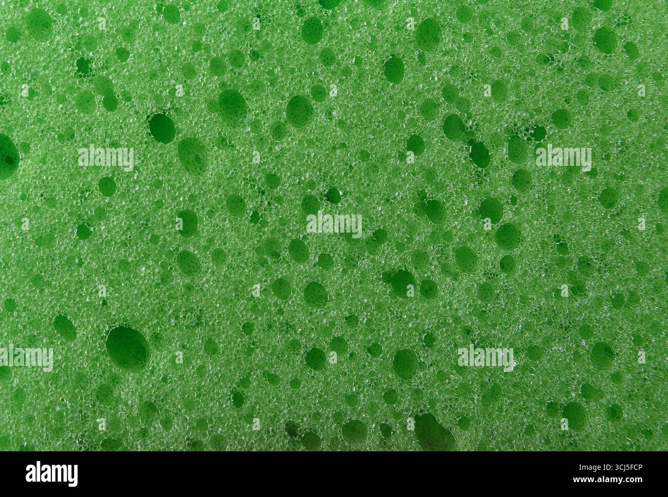 Détail de fond de la texture d'une éponge verte synthétique avec de nombreux trous, pour le nettoyage ou l'hygiène.vue de dessus. Banque D'Images